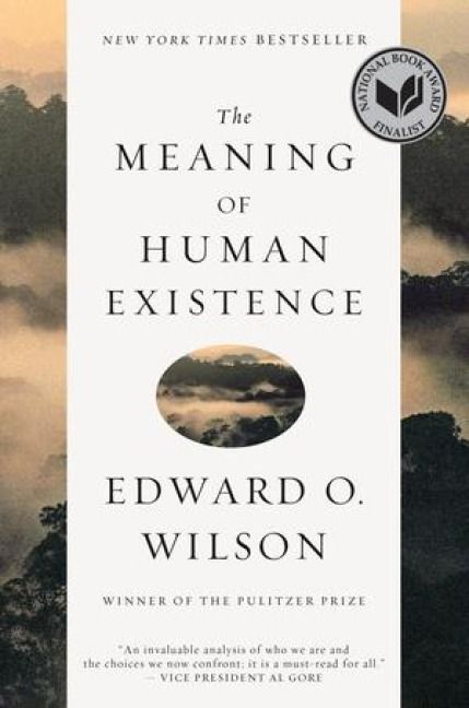 Produktbild: The Meaning of Human Existence