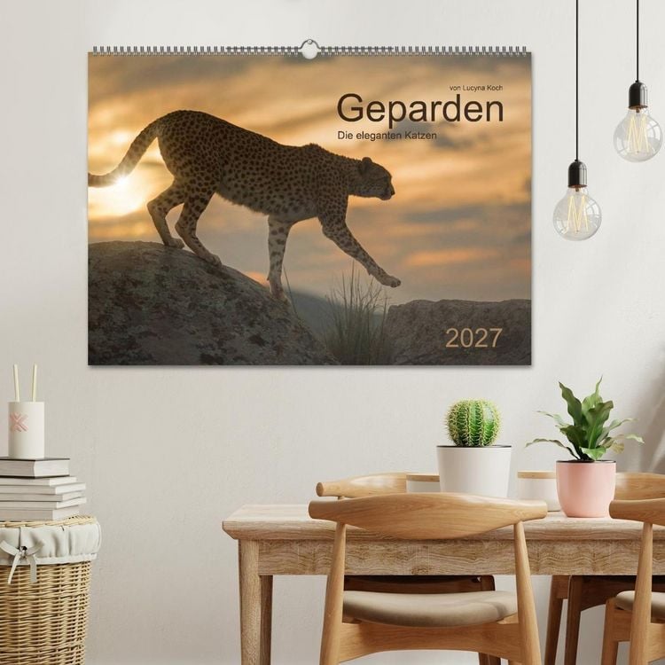 Produktbild: Geparden. Die eleganten Katzen. (Wandkalender 2027 DIN A2 quer), CALVENDO Monatskalender