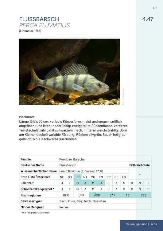 Produktbild: Neunaugen, Fische, Flusskrebse und Großmuscheln in Salzburg