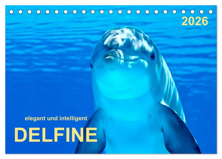 Produktbild: Delfine - elegant und intelligent (Tischkalender 2026 DIN A5 quer), CALVENDO Monatskalender