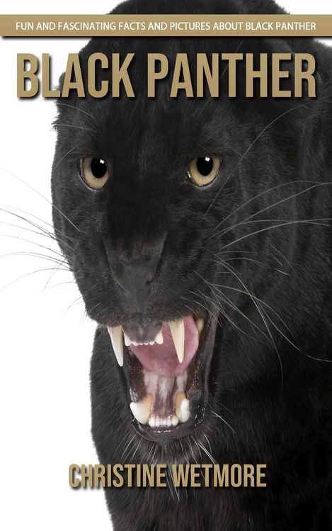 Produktbild: Black Panther - Fun and Fascinating Facts and Pictures About Black Panther