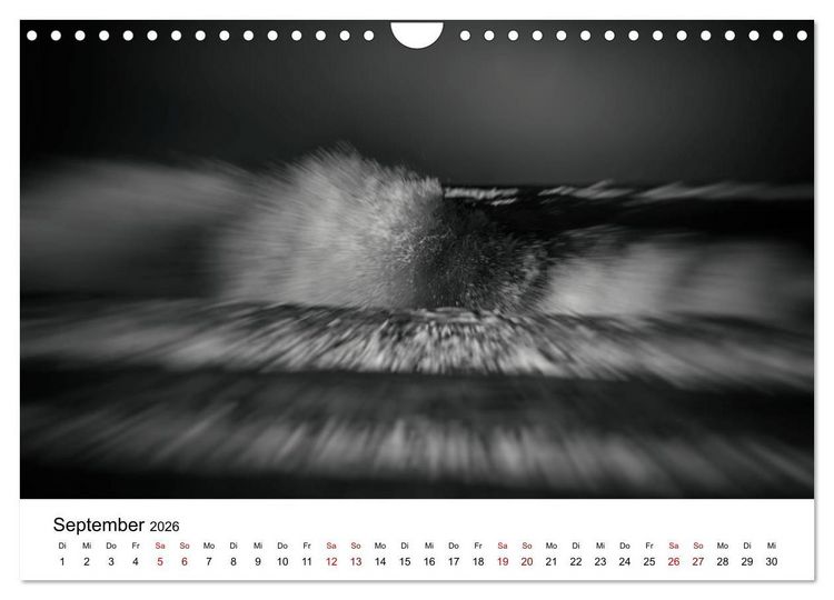 Produktbild: Sylt ... bewegt (Wandkalender 2026 DIN A4 quer), CALVENDO Monatskalender