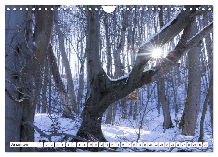 Produktbild: F&uuml;rstenfeldbruck - Streifzug durch Natur und Stadt (Wandkalender 2026 DIN A4 quer), CALVENDO Monatskalender