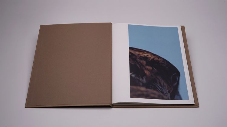 Produktbild: Jo&atilde;o Onofre &ndash; Untitled (in awe of)