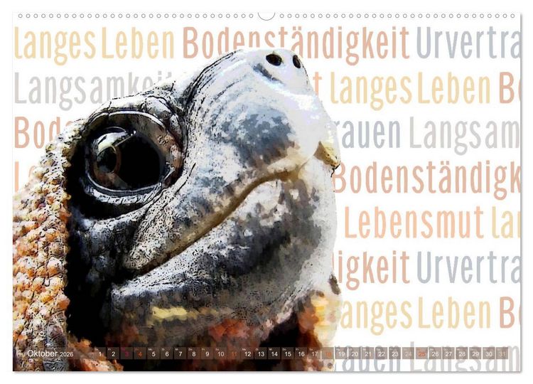 Produktbild: Mein wildes Krafttier und seine spirituellen Werte. (Wandkalender 2026 DIN A2 quer), CALVENDO Monatskalender
