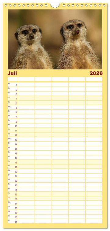 Produktbild: Familienplaner 2026 - Erdm&auml;nnchen - Zusammen sind wir stark mit 5 Spalten (Wandkalender, 21 x 45 cm) CALVENDO