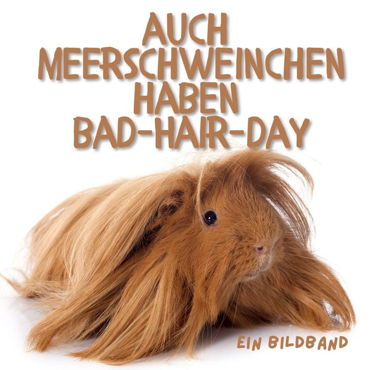 Produktbild: Auch Meerschweinchen haben Bad-Hair-Day