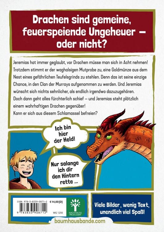 Produktbild: Die geheime Drachenschule - Feuerschattens erster Reiter
