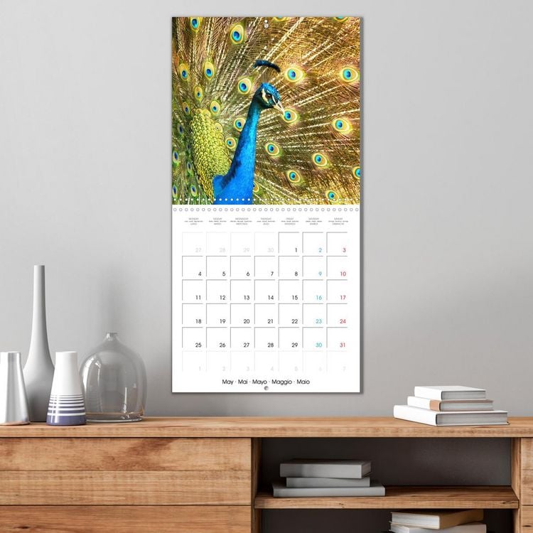 Produktbild: Au gr&eacute; des plumes (Calendrier mural carr&eacute; 2026 30x30 cm) Calendrier double avec une page pour vos prises de notes