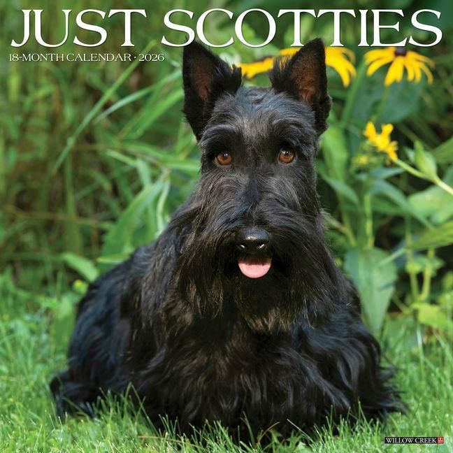 Produktbild: Scotties 2026 Wall Calendar