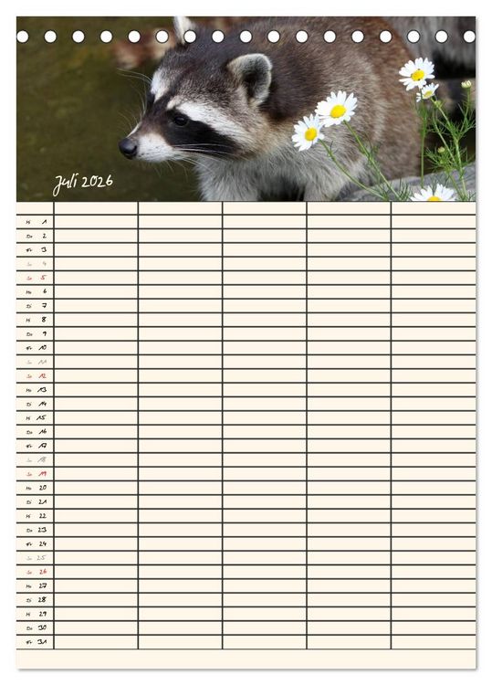 Produktbild: Waschb&auml;ren Familienplaner (Tischkalender 2026 DIN A5 hoch), CALVENDO Monatskalender