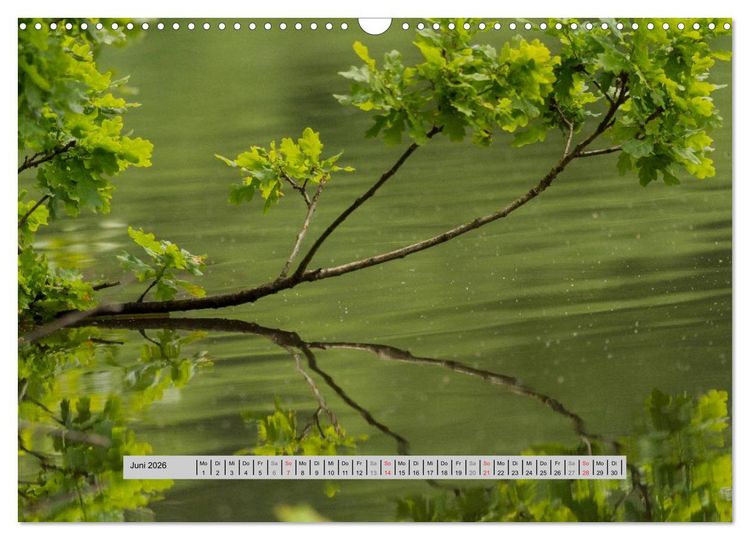 Produktbild: Perlen des Westerwaldes (Wandkalender 2026 DIN A3 quer), CALVENDO Monatskalender