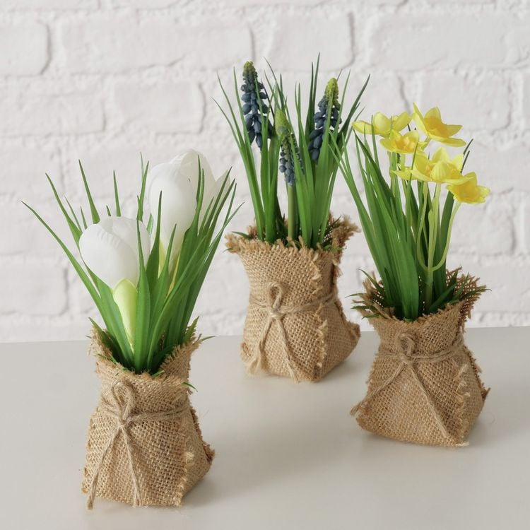 Produktbild: BOLTZE Topfpflanze Harmony 19cm 3fach sortiert