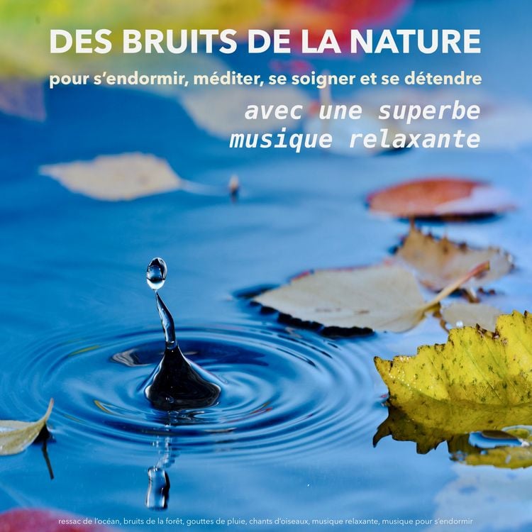 Produktbild: Des bruits de la nature avec une superbe musique relaxante - pour s'endormir, m&eacute;diter, se soigner et se d&eacute;tendre