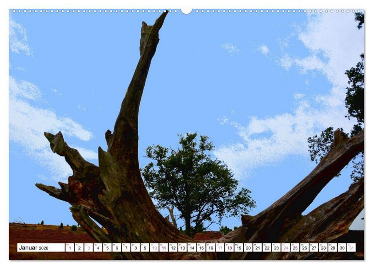 Produktbild: Heidelandschaft im Farbenspiel der Natur (Wandkalender 2026 DIN A2 quer), CALVENDO Monatskalender