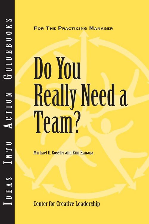 Produktbild: Do You Really Need a Team?