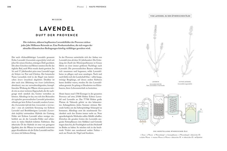 Produktbild: Provence. Eine Augenreise
