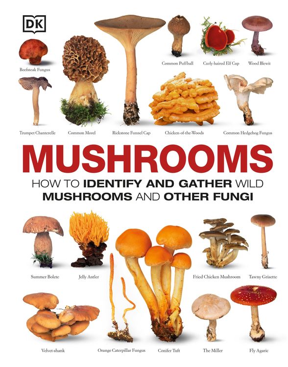 Produktbild: Mushrooms
