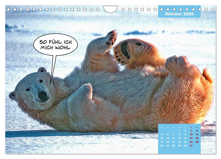 Produktbild: Lustige Eisb&auml;ren (Wandkalender 2026 DIN A4 quer), CALVENDO Monatskalender