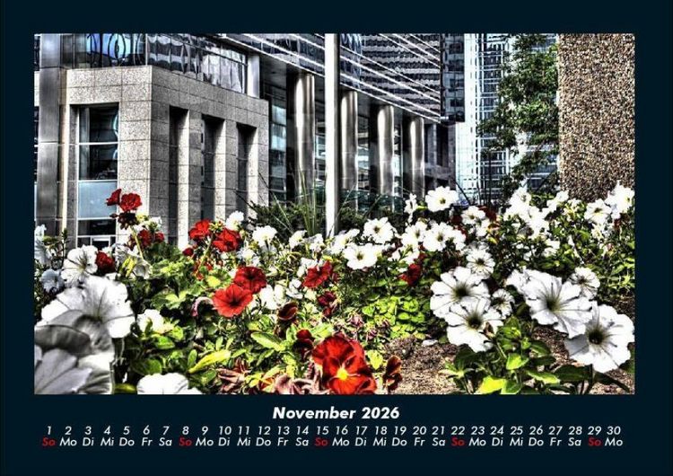 Produktbild: Blumentr&auml;ume 2026 Fotokalender DIN A4