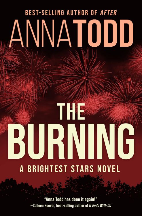 Produktbild: The Burning