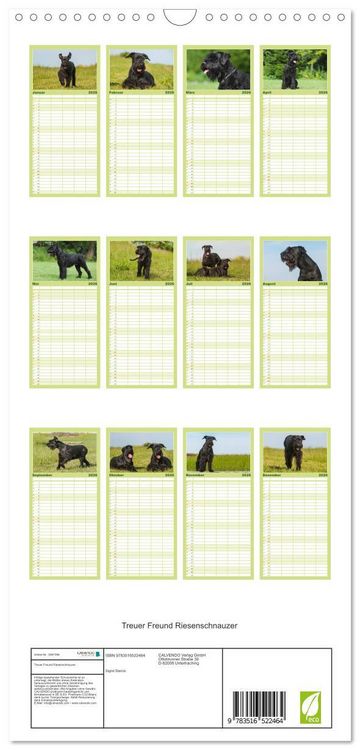 Produktbild: Familienplaner 2026 - Treuer Freund Riesenschnauzer mit 5 Spalten (Wandkalender, 21 x 45 cm) CALVENDO