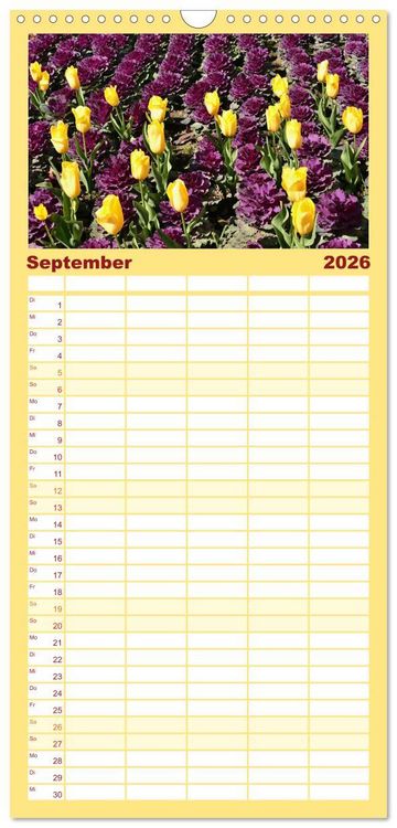 Produktbild: Familienplaner 2026 - Tulpentraum mit 5 Spalten (Wandkalender, 21 x 45 cm) CALVENDO