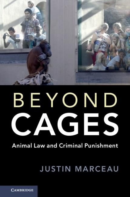 Produktbild: Beyond Cages