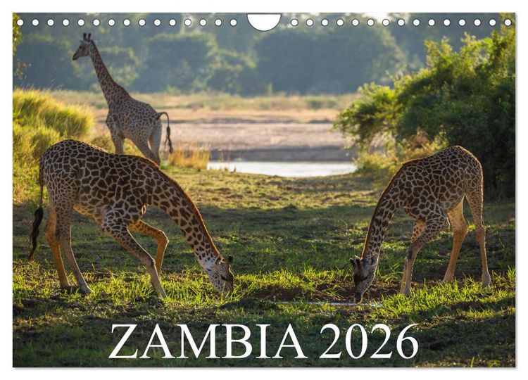 Produktbild: Zambia (Wall Calendar 2026 DIN A4 landscape), CALVENDO 12 Month Wall Calendar