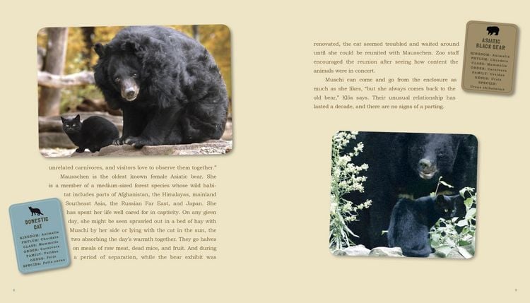 Produktbild: Unlikely Friendships