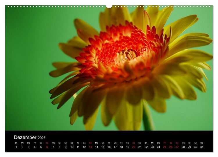 Produktbild: Blumige Farben (Wandkalender 2026 DIN A2 quer), CALVENDO Monatskalender