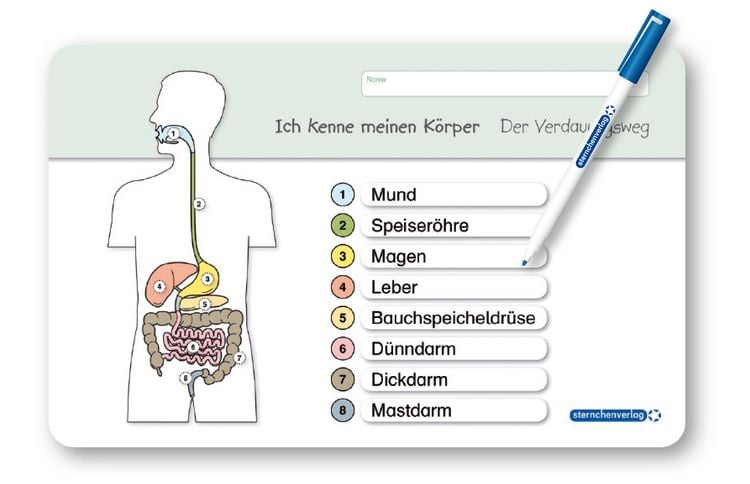 Produktbild: Ich kenne meinen K&ouml;rper - Der Verdauungsweg