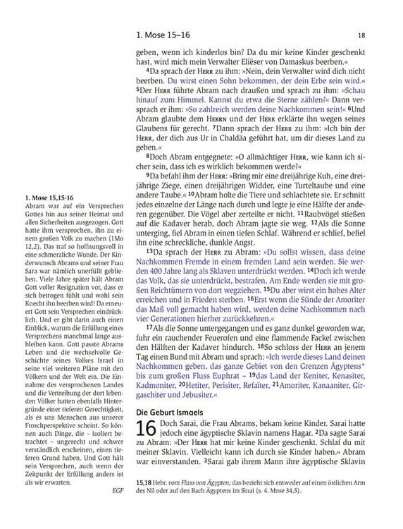 Produktbild: Das Buch der Versprechen