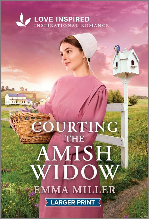 Produktbild: Courting the Amish Widow