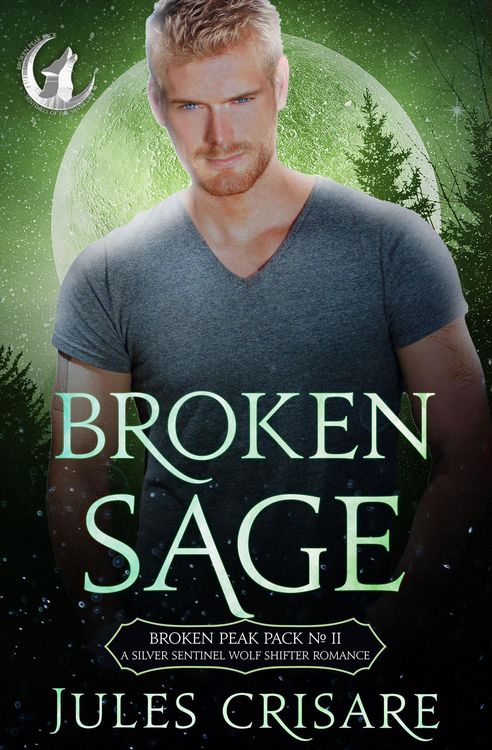 Produktbild: Broken Sage (Broken Peak Pack, #2)
