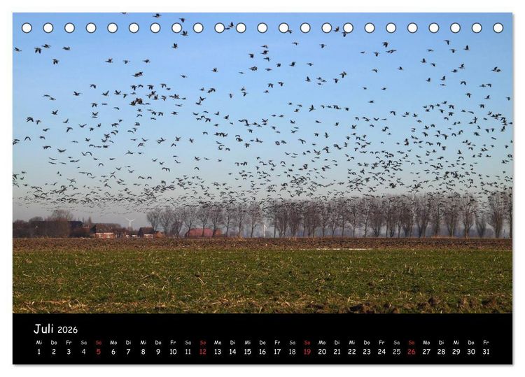 Produktbild: Schrei der Wildg&auml;nse (Tischkalender 2026 DIN A5 quer), CALVENDO Monatskalender