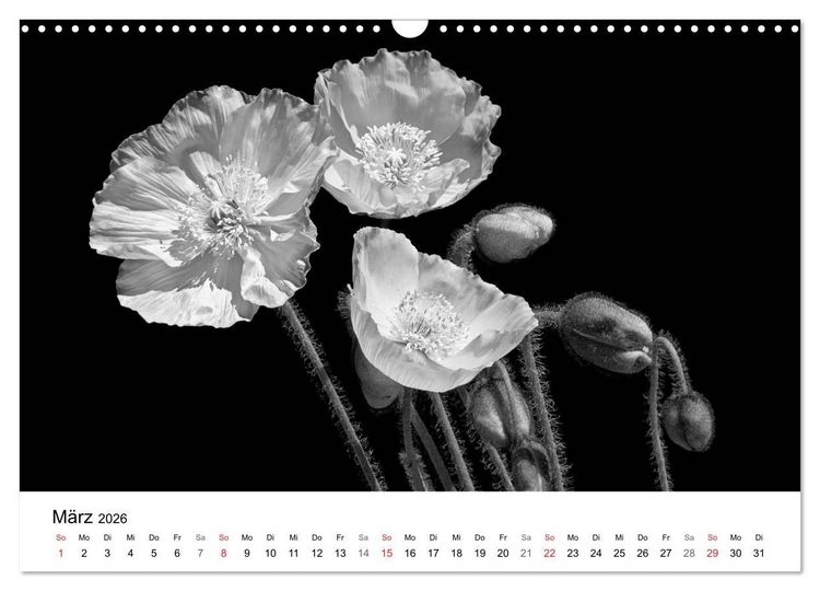 Produktbild: Blumen 2026, Schwarz-Wei&szlig; (Wandkalender 2026 DIN A3 quer), CALVENDO Monatskalender