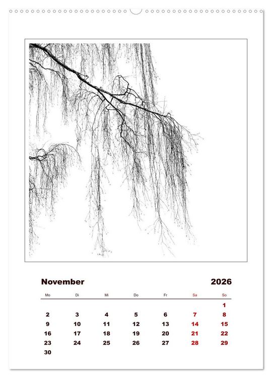 Produktbild: LignoGrafica - Muster und Strukturen der B&auml;ume (Wandkalender 2026 DIN A2 hoch), CALVENDO Monatskalender