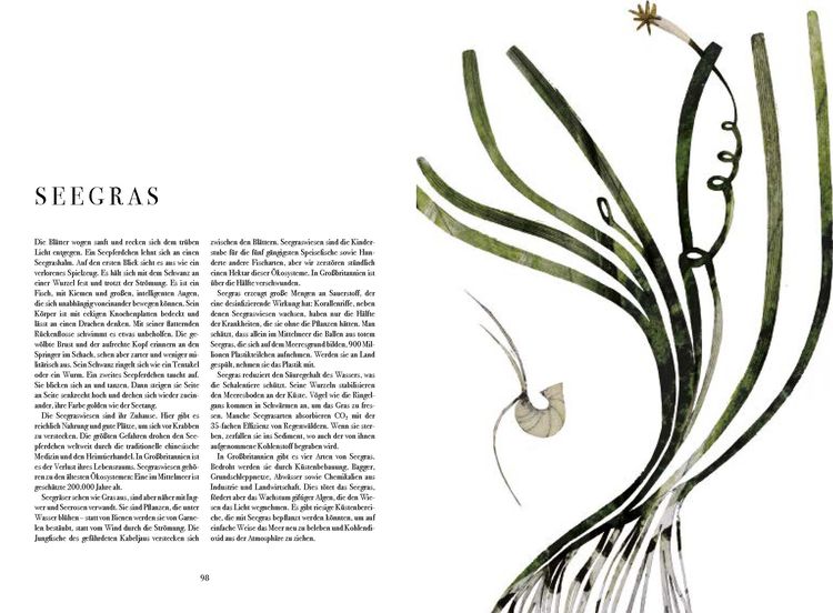 Produktbild: Wunder der Natur