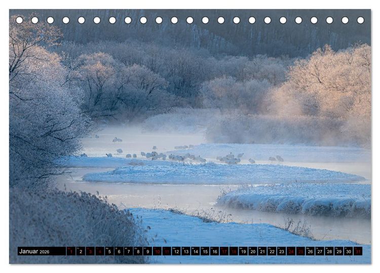 Produktbild: Kaleidoskop Japan (Tischkalender 2026 DIN A5 quer), CALVENDO Monatskalender