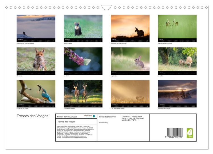 Produktbild: Tr&eacute;sors des Vosges (Calendrier mural 2026 DIN A3 vertical), CALVENDO calendrier mensuel