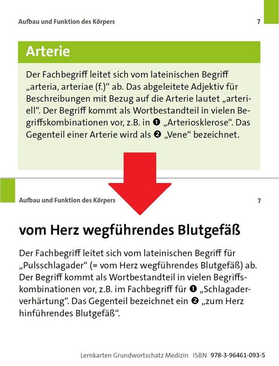 Produktbild: Grundwortschatz Medizin