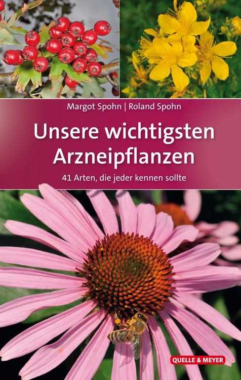 Produktbild: Unsere wichtigsten Arzneipflanzen