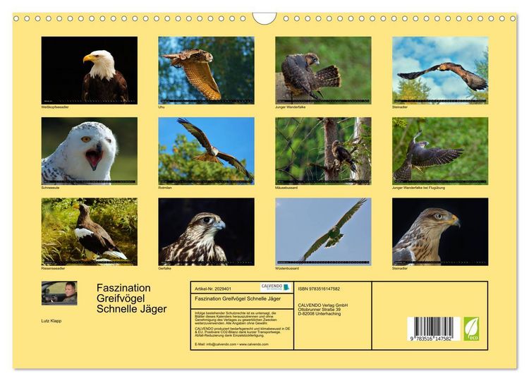 Produktbild: Faszination Greifv&ouml;gel Schnelle J&auml;ger (Wandkalender 2026 DIN A3 quer), CALVENDO Monatskalender