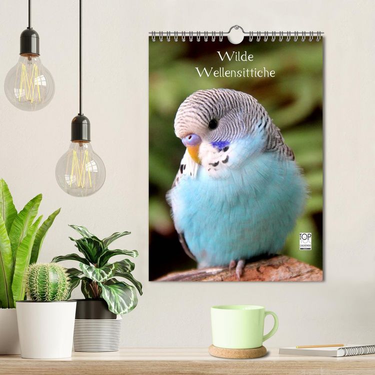 Produktbild: Wilde Wellensittiche (Wandkalender 2026 DIN A4 hoch), CALVENDO Monatskalender
