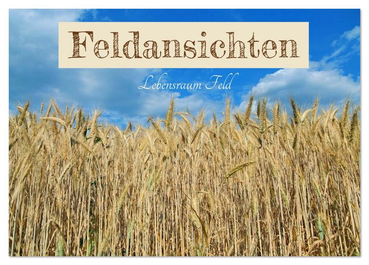 Produktbild: Feldansichten (Wandkalender 2026 DIN A2 quer), CALVENDO Monatskalender