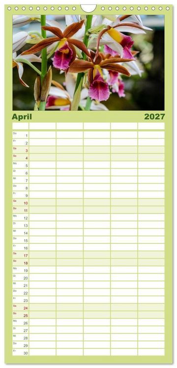 Produktbild: Familienplaner 2027 - Wunderbare Orchideen mit 5 Spalten (Wandkalender, 21 x 45 cm) CALVENDO