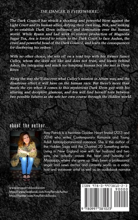 Produktbild: Hidden Danger, Book 5 of the Hidden Saga