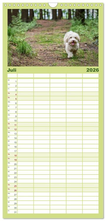 Produktbild: Familienplaner 2026 - Havaneser - Herz aus Gold mit 5 Spalten (Wandkalender, 21 x 45 cm) CALVENDO