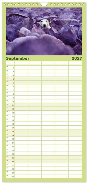 Produktbild: Familienplaner 2027 - Die Parson-Russell-Terrier...mit neuen Abenteuern aus der Hundeknipserei mit 5 Spalten (Wandkalender, 21 x 45 cm) CALVENDO